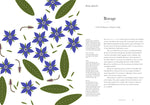 Load image into Gallery viewer, Herbarium Book
